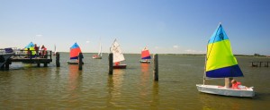 Opti klein